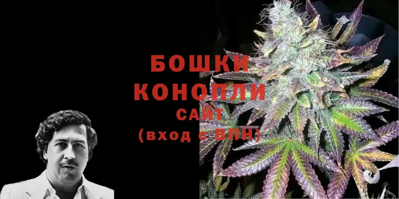 цена наркотик  Куйбышев  shop телеграм  МАРИХУАНА OG Kush 